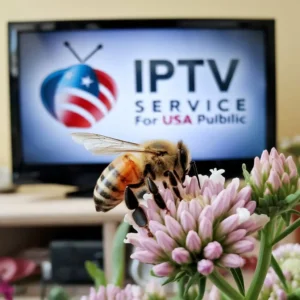 honeybee IPTV -IPTV PROVIDER USA